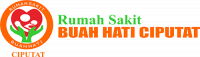 Logo Buah Hati